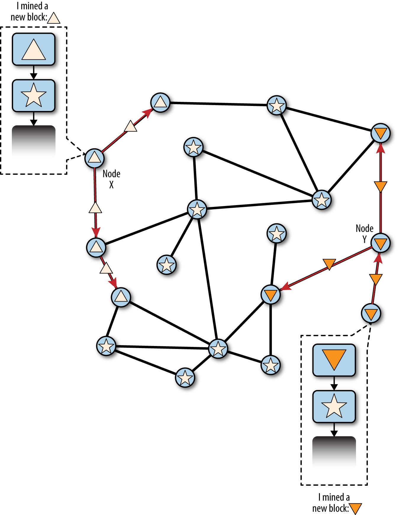 Visualization of a blockchain fork event: two blocks found
simultaneously